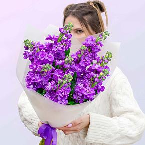 Букет из 9 фиолетовых маттиол