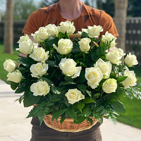 Корзина из 31 белой розы