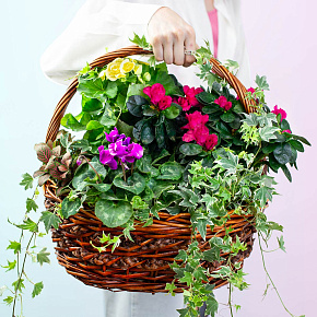 Цветущий сад