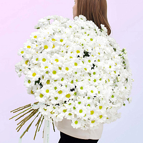 Большой букет белых хризантем