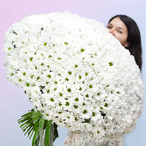 Большой букет "101 хризантема"