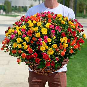 Корзина из 51 разноцветной кустовой розы