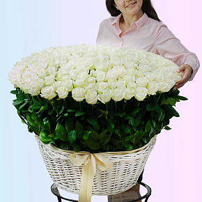 Корзина из 201 белой розы