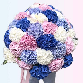 Букет из 35 гортензий