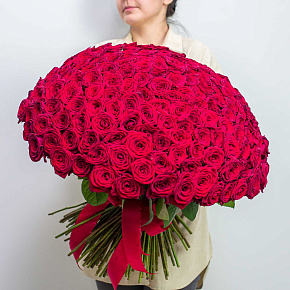 Букет из 201 красной розы Россия 60 см