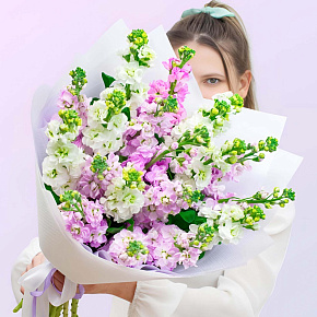 Букет из 19 белых и розовых маттиол