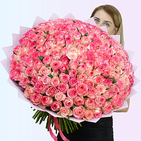 Букет из 151 розы 60 см "Джумилия"
