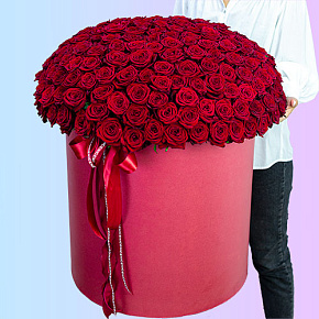 201 красная роза в коробке