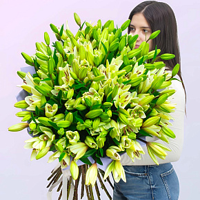Большой букет из 51 лилии