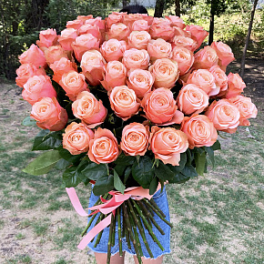 51 Голландская роза "Кахала" 70 см