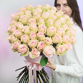 51 Голландская роза "Пинк Мондиаль" 80 см